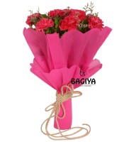 Pink Carnations Bunch