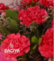 Pink Carnations Bunch