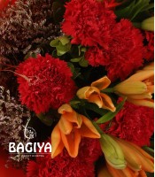 Lillies and Carnations