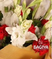 Carnations and Glades