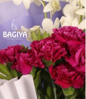 Majestic Carnations & Orchids