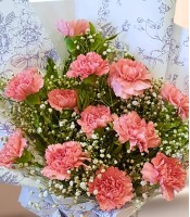 Delicate Pink Carnation Bunch