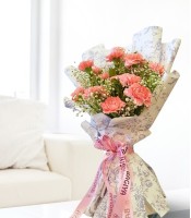 Delicate Pink Carnation Bunch