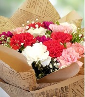 Multicolor Carnation beautiful Bouquet