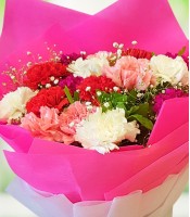 Colorful Carnations in Pink Wrapping
