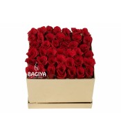 Prosperity Calling Me