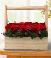 Love Bucket of Roses
