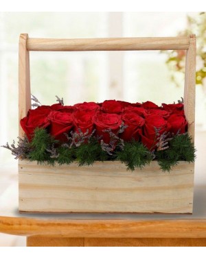 Love Bucket of Roses