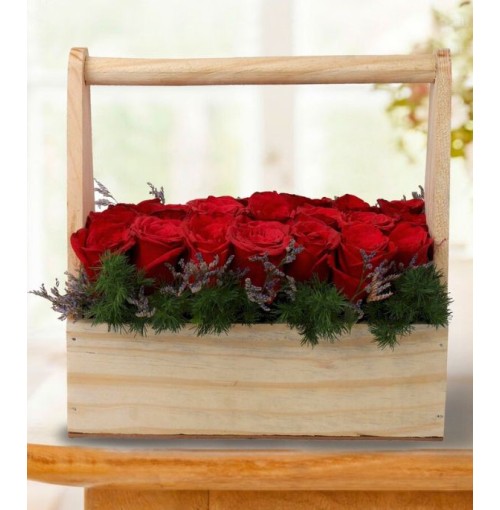 Love Bucket of Roses