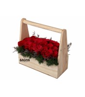 Love Bucket of Roses