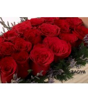 Love Bucket of Roses