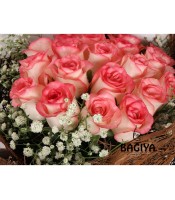 20 PINK ROSES BUNCH