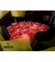 20 Pink Fresh Roses Bunch 