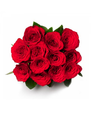 Little Treasure - 12 Roses