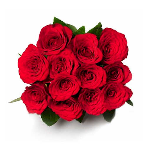 Little Treasure - 12 Roses