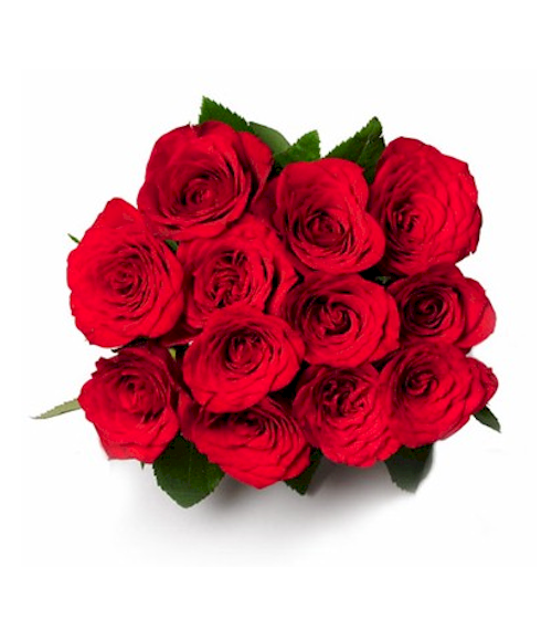 Little Treasure - 12 Roses